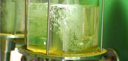 Brasil e Japão dialogam, em Tóquio, sobre produção de SAF a partir do etanol