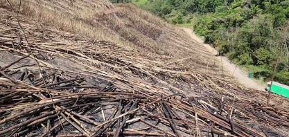 Colheita de Cana manual está com os dias contados no Nordeste do Brasil