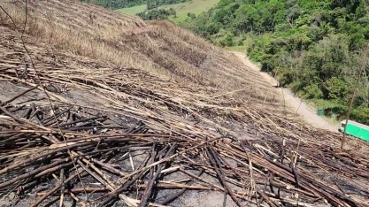 Colheita de Cana manual está com os dias contados no Nordeste do Brasil