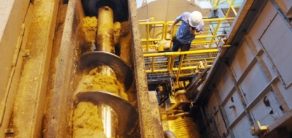 Moagem de cana registra crescimento de 16%