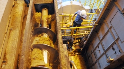 Moagem de cana registra crescimento de 16%