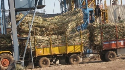Índia trabalha para evitar interrupção do fornecimento de etanol, diz governo