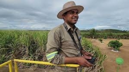Usina Petribu recorre ao uso de drones para minimizar a carência de mão de obra e a topografia