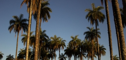 Acelen investirá em biocombustíveis no Norte de Minas