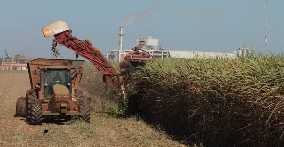Parte das usinas paulistas vem aceitando negociar a valores menores — Foto: Wenderson Araujo/CNA