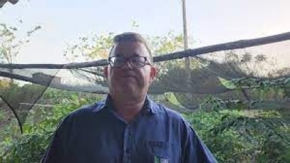 Coaf incentiva, fornece mudas e estrutura para os cooperados promoverem reflorestamento