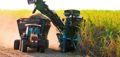 Em MS, safra da cana alcança 46,3 milhões de toneladas, supera ciclo anterior e marca recorde na produção de açúcar
