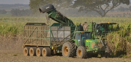 Perto do fim, Minas Gerais já moeu 77,6 milhões de ton de cana em novembro