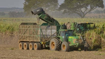 Perto do fim, Minas Gerais já moeu 77,6 milhões de ton de cana em novembro