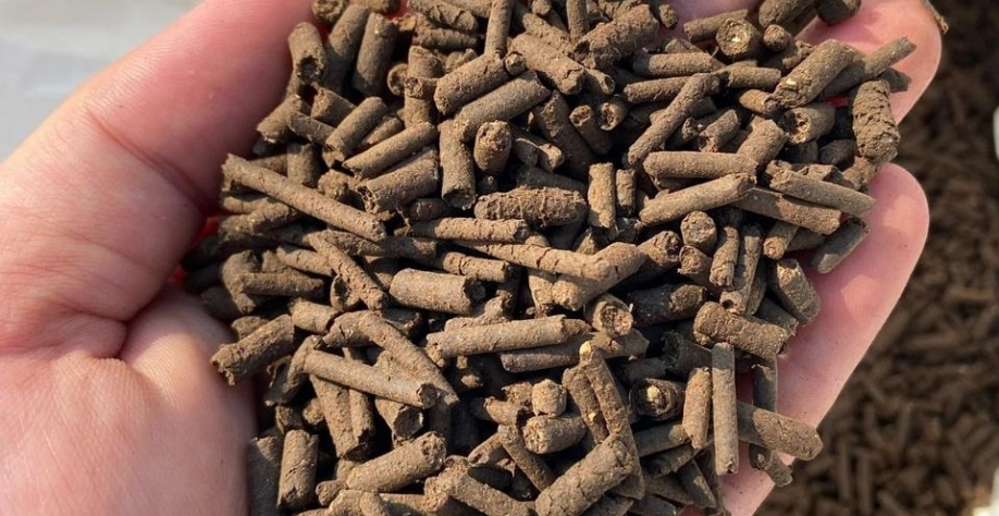 Pellets de organominerais da Brasfertil possuem doses equilibradas de 15 nutrientes, entre macronutrientes secundários e micronutrientes. Foto: Divulgação Brasfertil