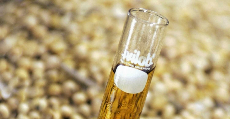 Amostra de biodiesel à base de óleo de soja em Chacabuco, Argentina. Marcos Brindicci/Reuters