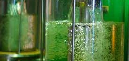 Indústria de bioenergia de MT vai à COP28 apresentar soluções para a transição energética
