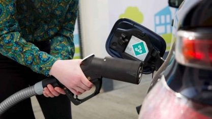 Organização internacional inclui biomassa em critérios para hidrogênio verde