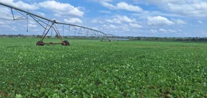 Extremos climáticos fazem Conab reduzir estimativa de produção de grãos no Brasil em 2023/24