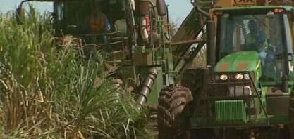 Usinas de cana-de-açúcar da região estão com mais de mil vagas abertas em diversas áreas