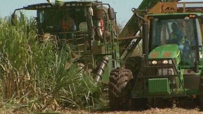 Usinas de cana-de-açúcar da região estão com mais de mil vagas abertas em diversas áreas