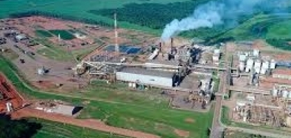 Cocal acaba de anunciar que está presente no Instagram com conteúdos sobre o cotidiano da empresa, além de projetos e iniciativas