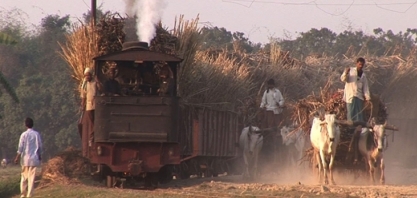 Índia permitirá desvio de até 1,7 mi t de açúcar para etanol