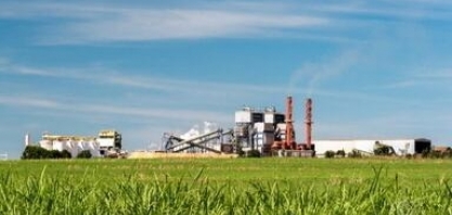 Conab aponta aumento de 7,4% na safra de produção da cana-de-açúcar 