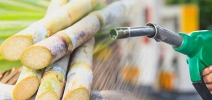 COP28: crescimento do mercado de biocombustíveis vai atrair mais de R$ 200 bilhões até 2037, diz MME