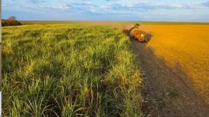 Cresce produção de açúcar e etanol no Norte-Nordeste até 15 de novembro