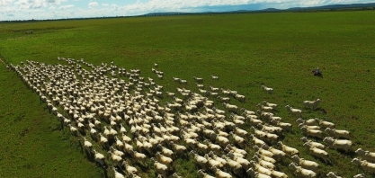 Expedição da Produtividade, da Sumitomo Chemical, auxilia no planejamento pecuário de 1,5 milhão de hectares