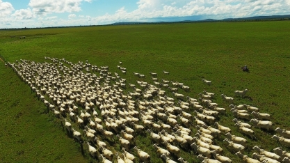 Expedição da Produtividade, da Sumitomo Chemical, auxilia no planejamento pecuário de 1,5 milhão de hectares