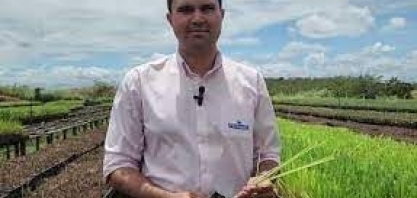 IAC e Usina Petribu têm parceria para o desenvolvimento da variedade de cana IAC-Petribu300