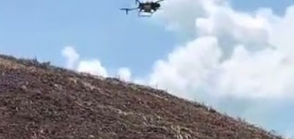 Usina Santo Antônio, em Alagoas, utiliza drones na aplicação de defensivos nas áreas de encosta