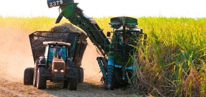 Safra da cana em MS cresce 3,8% e supera as 46 milhões de toneladas em 2023