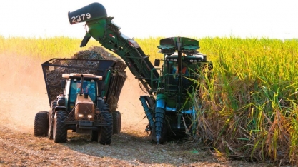 Safra da cana em MS cresce 3,8% e supera as 46 milhões de toneladas em 2023