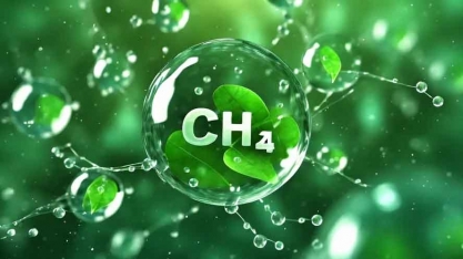 Biohitano: conheça biocombustível mais energético pesquisado no Brasil