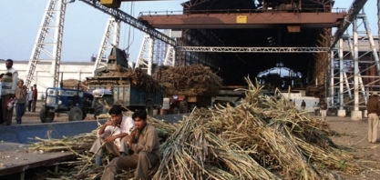 Produção de açúcar da Índia cai 10,7% de outubro a 15 de dezembro, diz associação