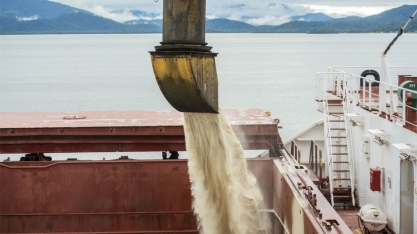 Exportações do agronegócio de Minas Gerais batem recorde em 2023 