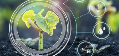 Análises laboratoriais têm importância vital para a agricultura e aumento de produtividade