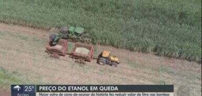 Recorde de safra de cana-de-açúcar em 2023 faz preço do litro do etanol cair