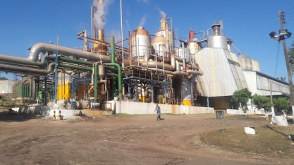 Usina Pindorama deve superar produção álcool e açúcar da safra passada