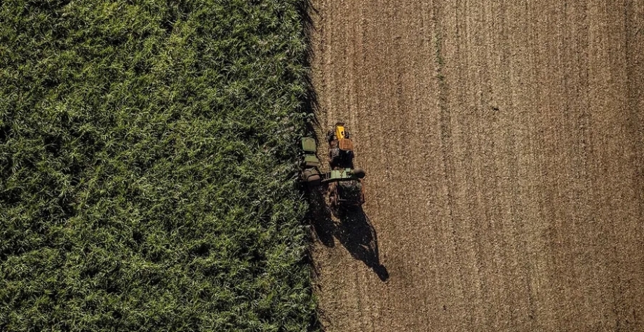 A transação representa uma reorganização da gestão das terras das duas empresas — Foto: Sergio Ranalli/Ed.Globo