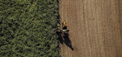 Aprovada joint venture entre Cosan e gestora do TIAA para administração de terras