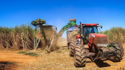 Produção de açúcar pode ser recorde na nova safra, diz Cepea