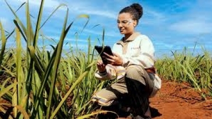 Tereos realiza Feirão de Empregos em Tanabi 