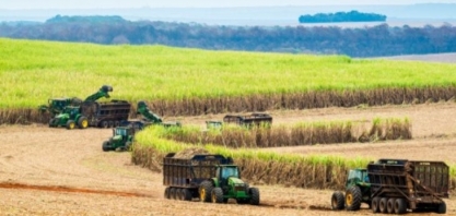 Produção de açúcar segue em alta no Norte e Nordeste até final de dezembro
