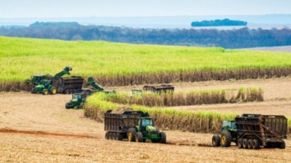 Produção de açúcar segue em alta no Norte e Nordeste até final de dezembro