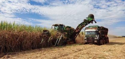 Safra canavieira 23/24 no Centro-Sul continua em ritmo de recordes