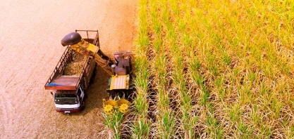 Bioind: Mato Grosso registra recorde na produção de açúcar e o maior índice de rendimento industrial na produção de etanol na safra 2023/24