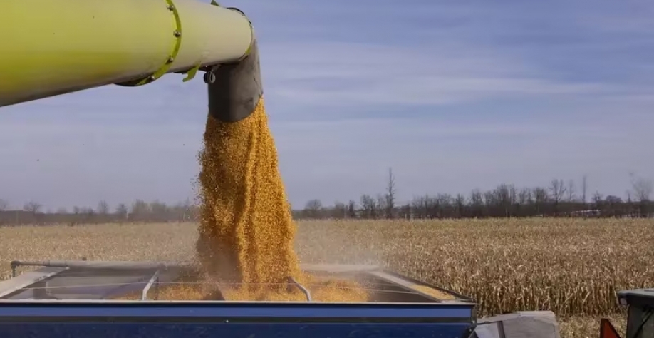 EUA avançam no mercado de combustível de aviação sustentável com etanol de milhoProdução de SAF com etanol de milho é um mercado crescente no mercado americano e global (Foto: Christinne Muschi/Bloomberg)(Bloomberg/Christinne Muschi)