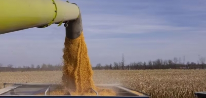 EUA avançam no mercado de combustível de aviação sustentável com etanol de milho