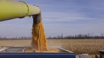 EUA avançam no mercado de combustível de aviação sustentável com etanol de milho