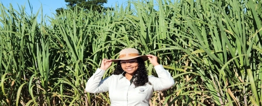 Débora Alves, da Adecoagro, será debatedora no 12º Encontro Cana Substantivo Feminino