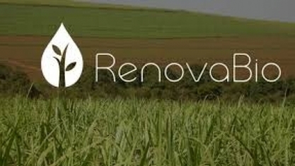 ANP faz rateio preliminar de 38,78 milhões de CBios entre distribuidoras